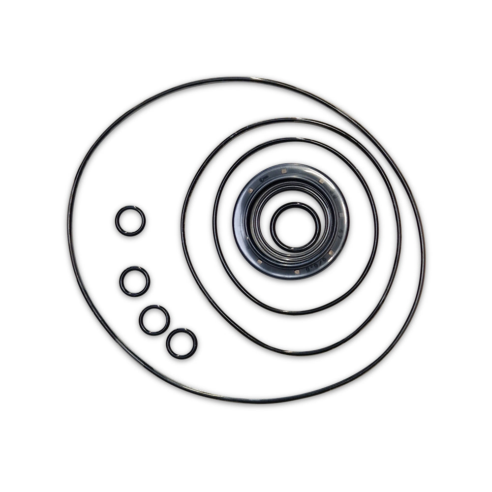 Seal kit VAR. PISTON MOT. 64/32 PWG Z15