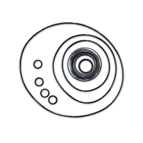 Seal kit VAR. PISTON MOT. 64/32 PWG Z15