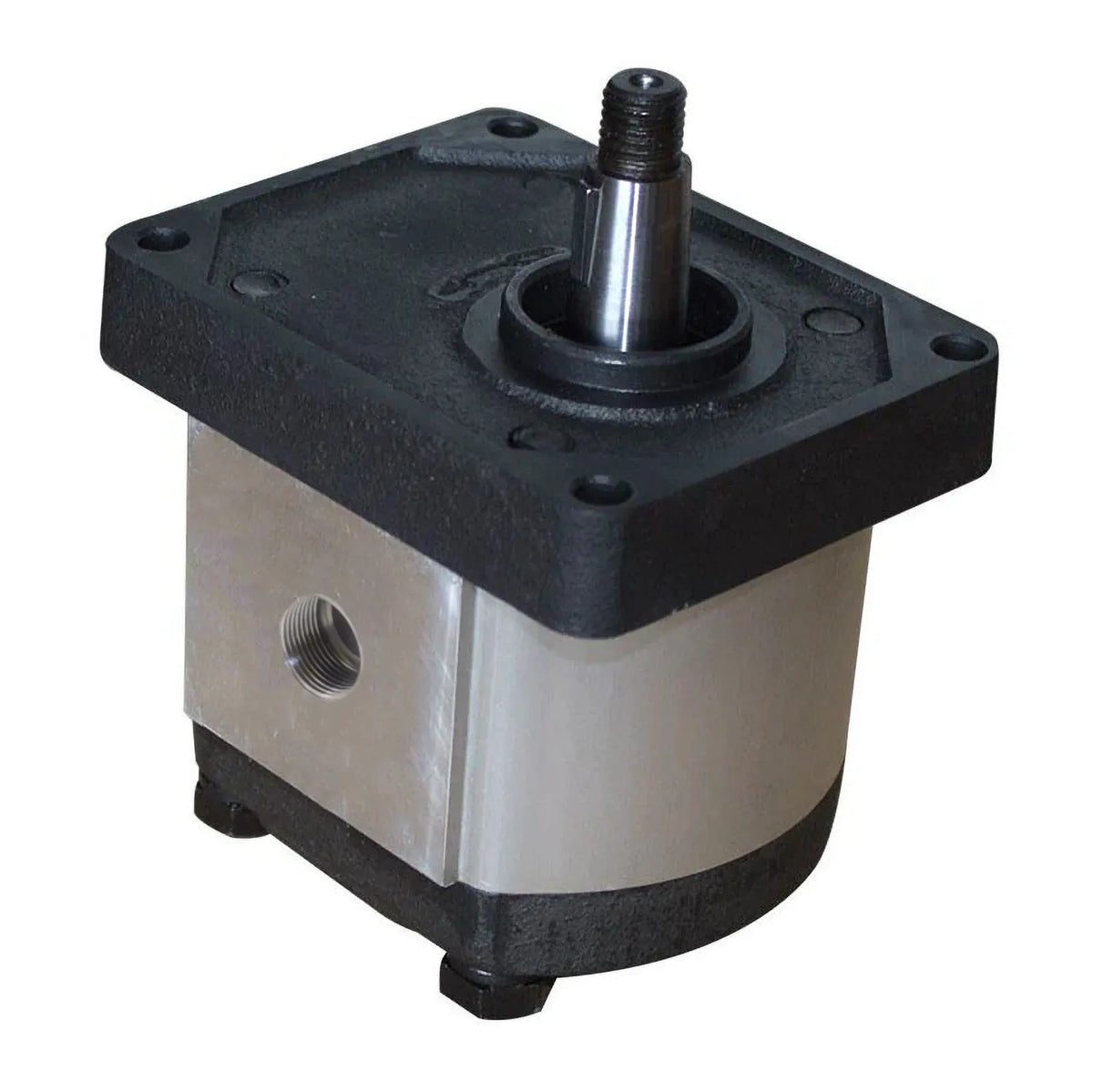 Group 3 Gear Pumps with 1:8 Taper Shaft (Threaded Ports)