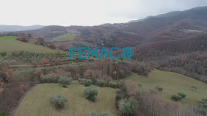 Femac T21 DFX 16T-30T